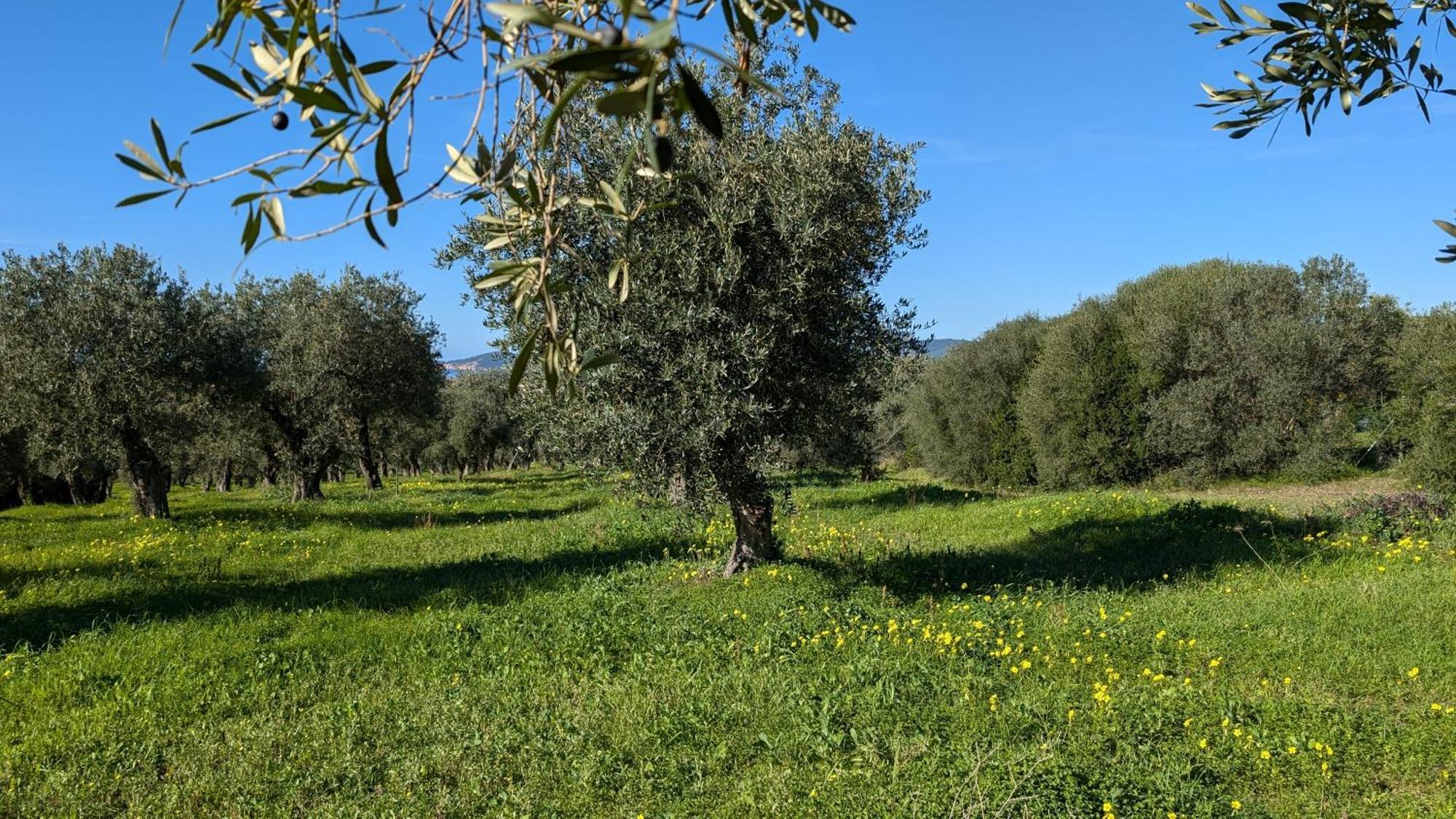 Casale Valverde Alghero Exterior photo